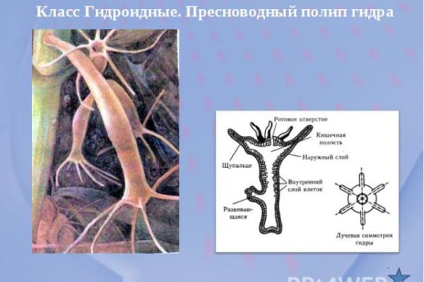 Kraken зеркала маркетплейс