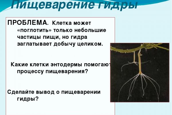 Даркнет ссылка