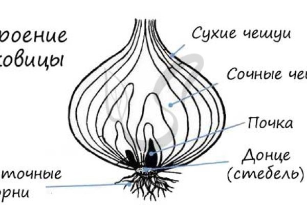 Кракен 05