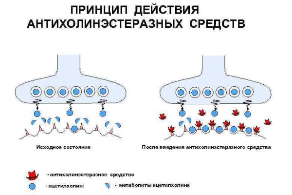 Кракен ссылка на сайт com